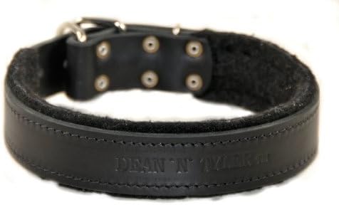 Dean e Tyler D&T Delight Dog Collar - Hardware de níquel - preto - tamanho 22 x 1 Largura. Cabe