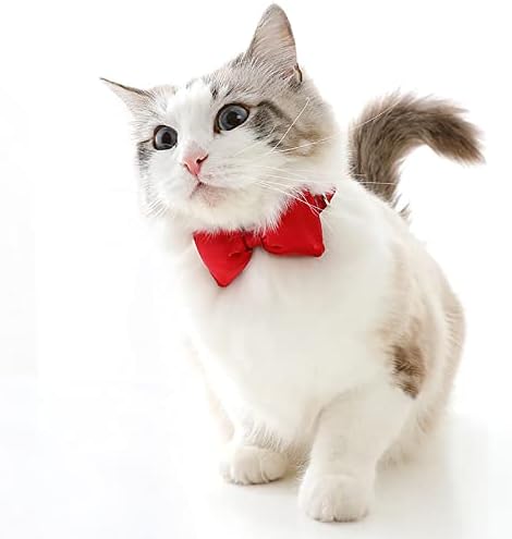 Colarinhos de gato gravata borda e charme fofo gentleman colares colarinhos xadrez de gatos de gato colar