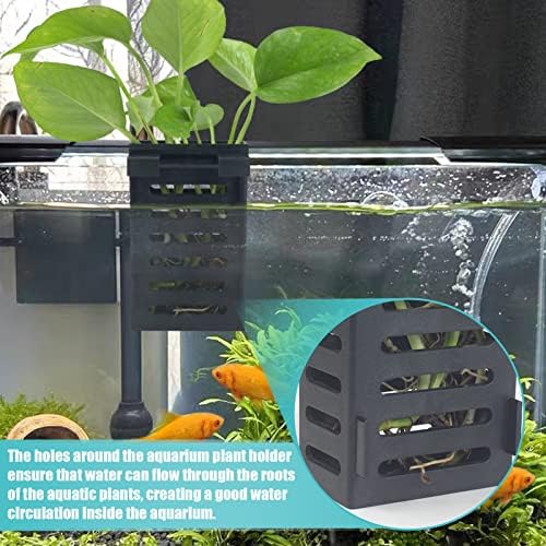 Sanjhff 2 PCs pendurados portador de plantas de aquário, suporte de planta de peixe com ganchos, copos