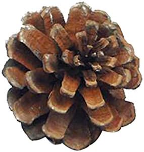 Yiisu huh159 natal pineta cor natural cor natural areia de natal acessórios 6pcs
