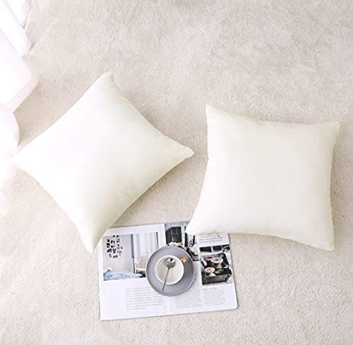 Nini All Decorative Troad Pro travesseiro Pacote de 2, travesseiros de veludo para travesseiros de sofá,