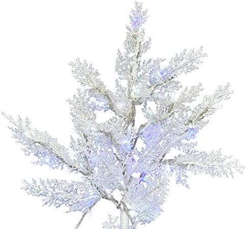 Vickerman 5,5 'x 47 Cedar pinho de cedro em árvore de Natal, Baixa Tensão Led Branca Pura e Azul