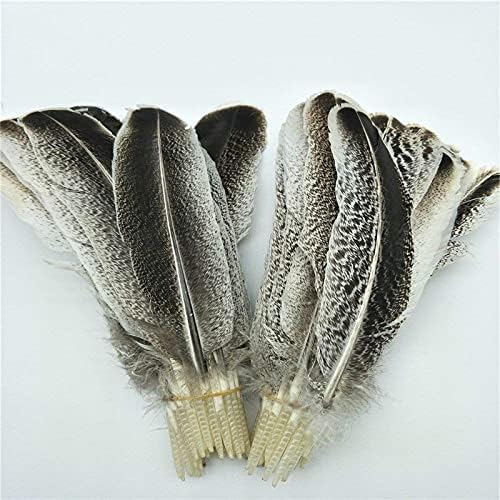 Ttndstore as penas de águia natural para jóias que fazem decoração de decoração de carnaval de penas de casamento