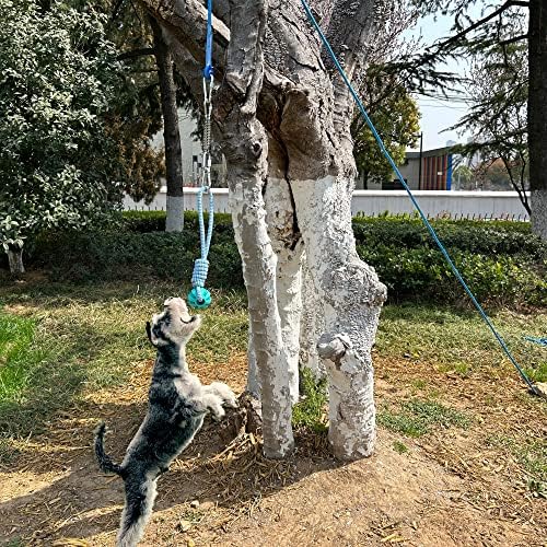 Fenice Tree Tugger Dog Toy, brinquedos para cães ao ar livre para cães grandes, construtor de músculos de cães,