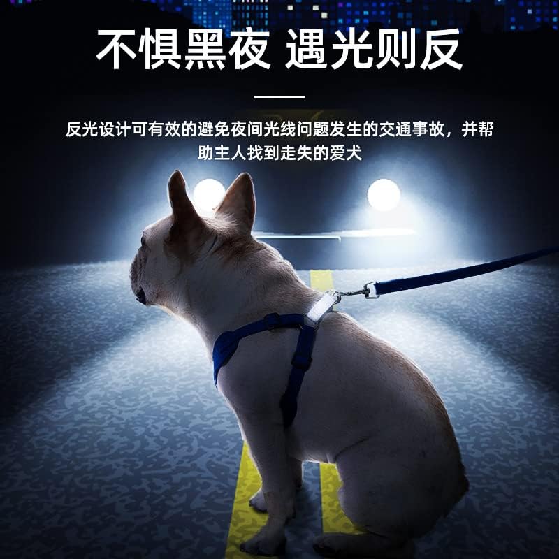 狗狗 牵引绳狗 绳子 宠物 小型 cão coleira corda de cachorro animal de estimação pequeno