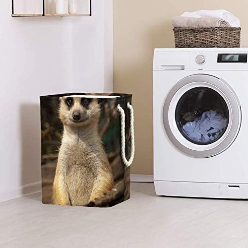 Sorriso unicey meerkat lavanderia cesto colapsível cesto para armazenamento bin bebê cesto