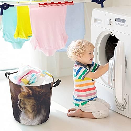 Foduoduo Roupa de cesta de cesta de gato cesto de lavanderia com alças Saco de armazenamento de roupas