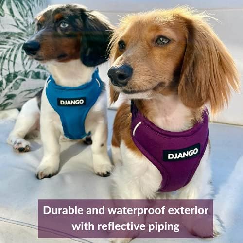 Django Adventure Dog Arnness - Confortável, durável e reflexivo, arnês de cães para aventuras ao