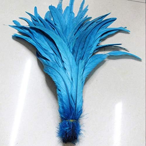Selcraft Chicken Feather de 25 a 30 cm de galo natural penas de cauda para decoração artesanato