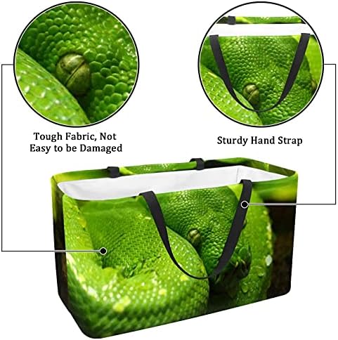 Lorvies Iguana Reptile Lizard Green Storage Bin Basket - grande retângulo para roupas, brinquedos, sapatos e piquenique