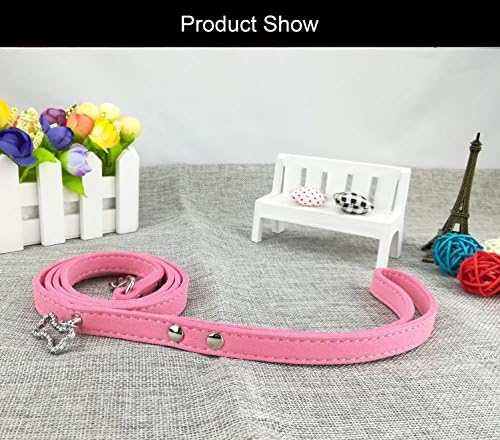 Newtensina 3pcs Fashion Dog Collar e chumbo Set 2pcs Cola de cachorrinho de gravata borboleta com coleira rosa