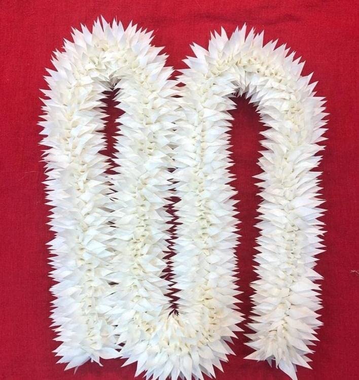 Sonhos@tecido sintético artificial gajra veni cor branca mullai flor para bharatanatyam 12 polegadas para