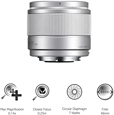 Panasonic Lumix H-H025E-K 25 mm Micro Four Thirds Câmera Lente para a série G-Prata