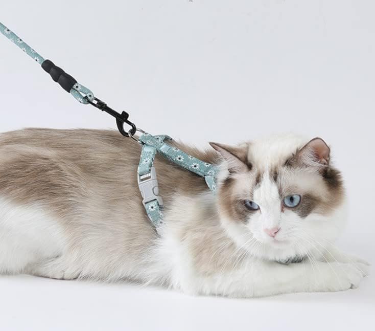 Arnês de gato com coleira conjunta de arnês ajustável conjunto de gatos de gato de gato para gatinhos