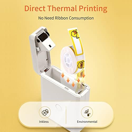 Impressora de etiqueta térmica de fabricante de rótulos do FZZDP, tudo em Bt Connect DIY DATE DATA DATURA