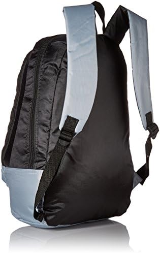 Detroit Lions 2015 Stripe Core Backpack