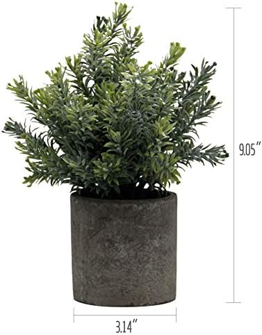 Zcaukya pequenas plantas artificiais em vasos, plantas artificiais de eucalipto de alecrim falso 9,5 Plantas