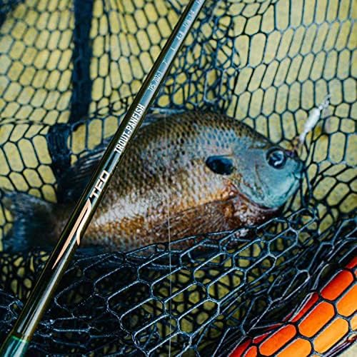 Temple Fork Outfitters Trout-Panfish