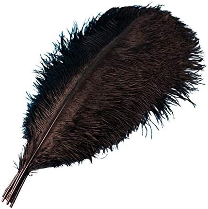 10pcs/lote 15-30cm Feathers naturais de avestruz branca para artesanato Jóias de penas de festa colorida