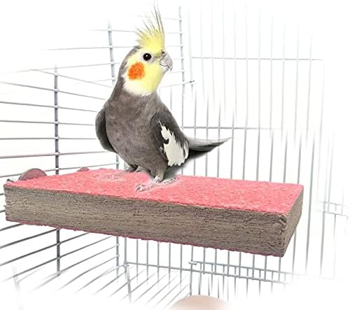 Acessórios para gaiola de pássaros de animais de estimação de Mrli, Plataforma de Polícia de Parrot