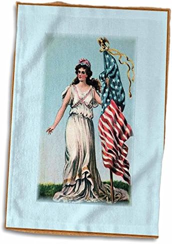 3d Rose Vintage Lady Liberty com American Flag Twl_38921_1 Toalha, 15 x 22