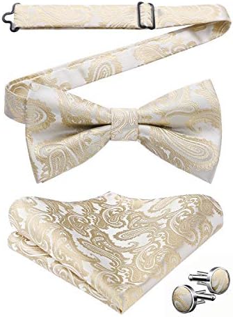 Hishern arco laços para homens floral Paisley gravata borboleta pré-amarrada e lençóis quadrados