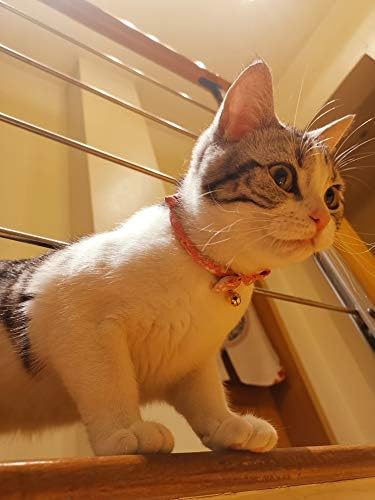 Petokoo Cat Collar com Bowtie Bell. Japão Cherry Blossom Flower Pattern. Breakaway, macio, leve e fofo colares