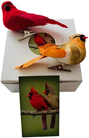 Decoração cardeal conjunto com clipe masculino e feminino amor bird cardeais com cartão de história em caixa