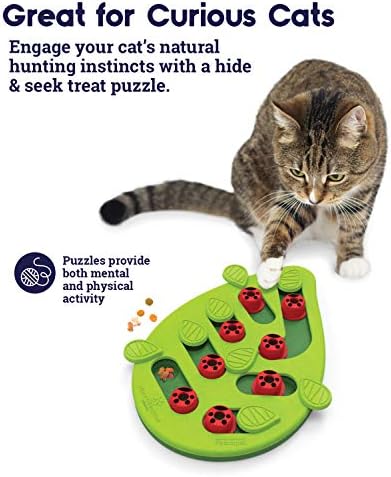 Petstages Chase Meowtain Interactive Cat Track Toy & Petstages Buggin 'Out Puzzle & Play - Puzzle de tratamento