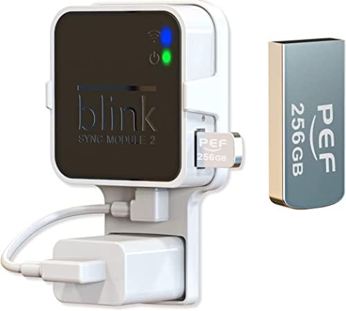 256 GB Blink USB Flash Drive para armazenamento de vídeo local e a montagem de saída para o módulo de sincronização