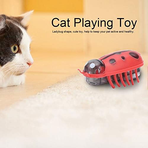 Zerodis Cat Toys Interactive, 7pcs Mini fofo gato de joaninha tocando brinquedo de brinquedo ELECTRO