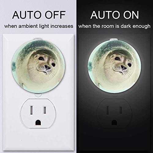 Crianças Night Light With Sea Animal Dog Seal Night Light Plug in Wall com Dusk-to-Dawn Sensor 4 Pack