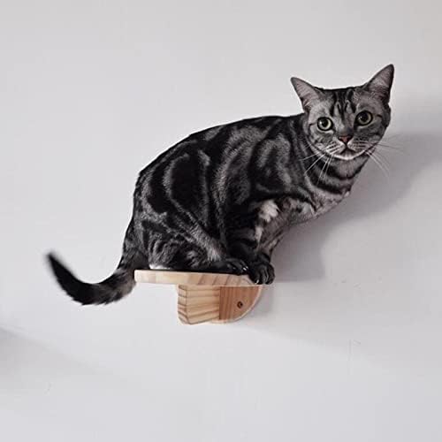 Plataforma de gato de escalada de gatos Qianly plataforma de salto de gato durável 20 kg rolamento