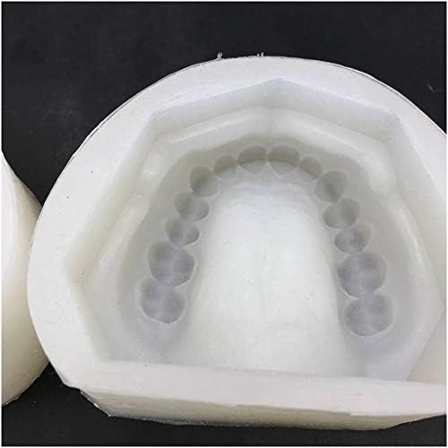 Modelo de dentes para educação - molde de silicone com amassado padrão - dentes dentários estudam modelos