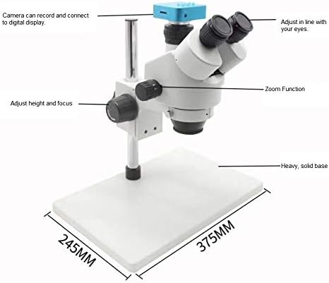 Microscópio trinocular industrial de Sanqtid com reparos de IC para telefone LED e de exibição digital