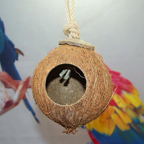 Casa de ninho de coco de coco natural cabana para papagaio de estimação canário canhão finch pombo hamster