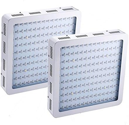 GOWE 2PCS LED completo LED Plantas de luz de luz 900W Pofvos LED LUZES CRESCENTES PARA PAINEL