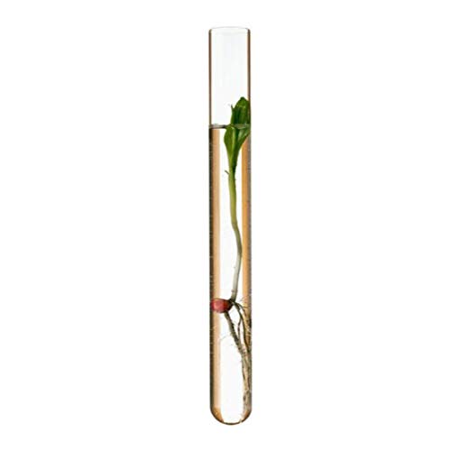 IPLUSMILE VASE CLARO Vasos transparentes 20pcs Tubos de teste de vidro com rolhas de cortiça, 20x150mm Bom