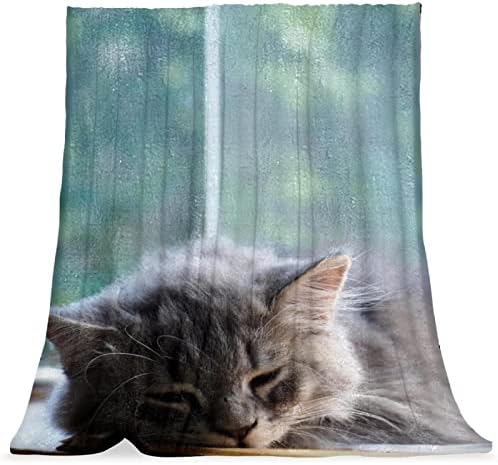 Vbfofbv Bedding Fleece Blanket Comfort Fluffy for Boys Girls, Grey Cat Lovely Animal Pet Pet
