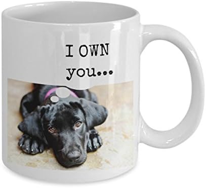Engraçado Black Labrador Retriever Presente Caneca - Eu possuo você ... - 11 oz. Caneca de café