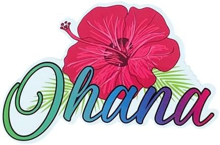 Adesivo do OHANA HAWAII COM FLOR DE HIBisco havaiano e letras coloridas | Decore seu carro, SUV,