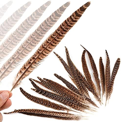 YouTexing 100pcs 25-30cm Freanha Natural Feather Tail for Wedding DIY Crafts Plumes adereços Boas