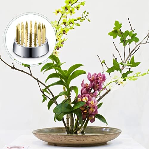 Kritkin 24 peças sapos de flores para arranjos Mini Round Flower Arganizer Pino de flores Ferramentas fixas
