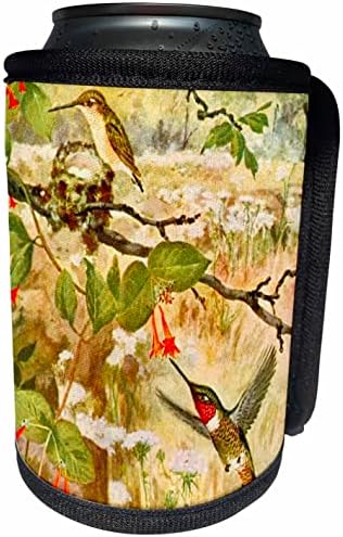 3drose vintage ruby ​​throated beixingbird art ilustração. - LAPA BRANCHA RECERLER WRAP
