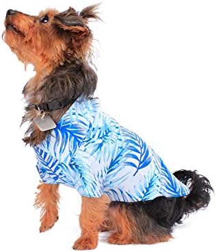 Camisa Aloha de cão de padrão de correspondência havaiana em folhas simplesmente azuis xlarge