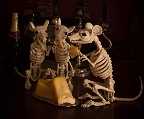 Rato de esqueleto de Bonez Crazy