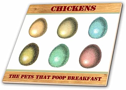 3drose galinhas os animais de estimação que cocô de café da manhã - engraçado humor de frango gráfico - azulejos
