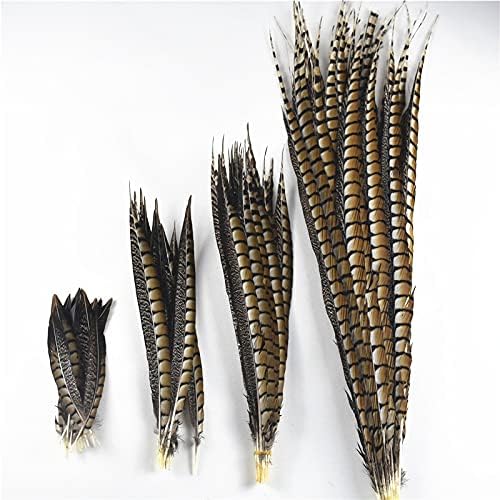 Zamihalaa 10pcs/lote natural amherst faisão Feathers 10-120cm/4-48inChwedding Feathers Decoração