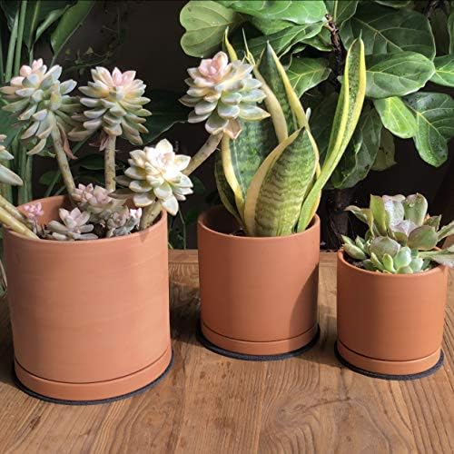 D'Vine Dev Terracotta Pots para plantas, 4,2 polegadas de 5,3 polegadas 6,5 polegadas, pote de plantador suculento com drenagem e pires, 40-a-t-1