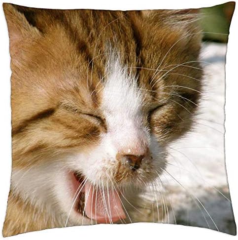 Capa de travesseiro de arremesso de lesgaulest - gato gato gato jovem gato gato vermelho gato doméstico